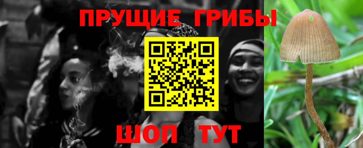 Псилоцибиновые грибы GOLDEN TEACHER  Вход с VPN  Фурманов 